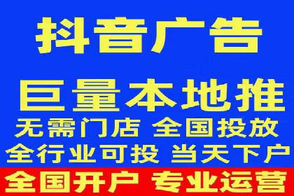 解析某某SEM服务公司的广告投放策略与效果评估